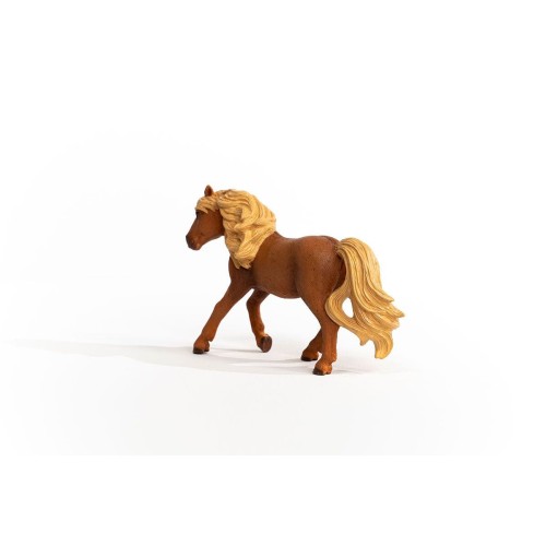 13943_iceland_pony_stallion_02.jpg