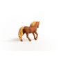 13943_iceland_pony_stallion_03.jpg