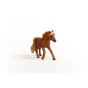 13943_iceland_pony_stallion_04.jpg