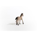 13949_criollo_definitivo_foal_01.jpg