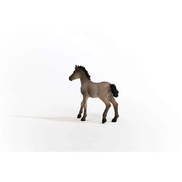 13949_criollo_definitivo_foal_02.jpg