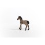 13949_criollo_definitivo_foal_02.jpg