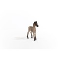13949_criollo_definitivo_foal_05.jpg