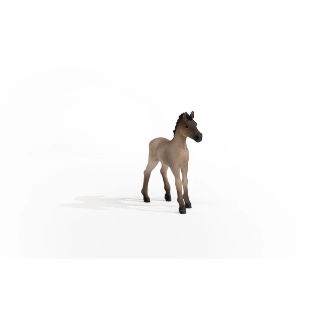 13949_criollo_definitivo_foal_05.jpg