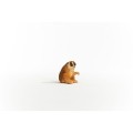 14852_slow_loris_05.jpg