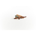 14854_iguana_03.jpg