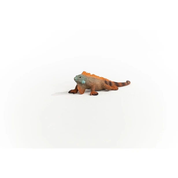 14854_iguana_03.jpg