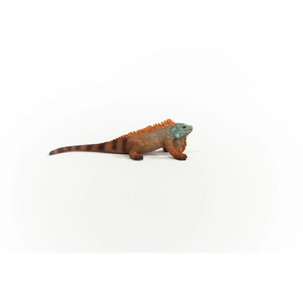 14854_iguana_06.jpg