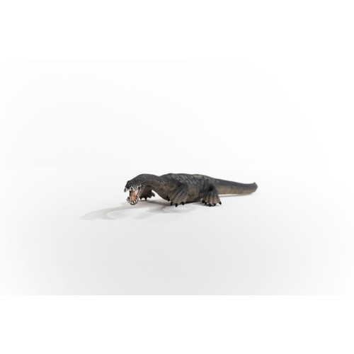 15031_nothosaurus_05.jpg