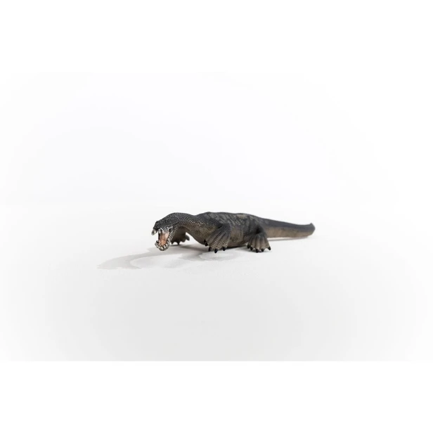 15031_nothosaurus_05.jpg
