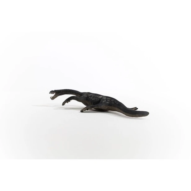 15031_nothosaurus_02.jpg