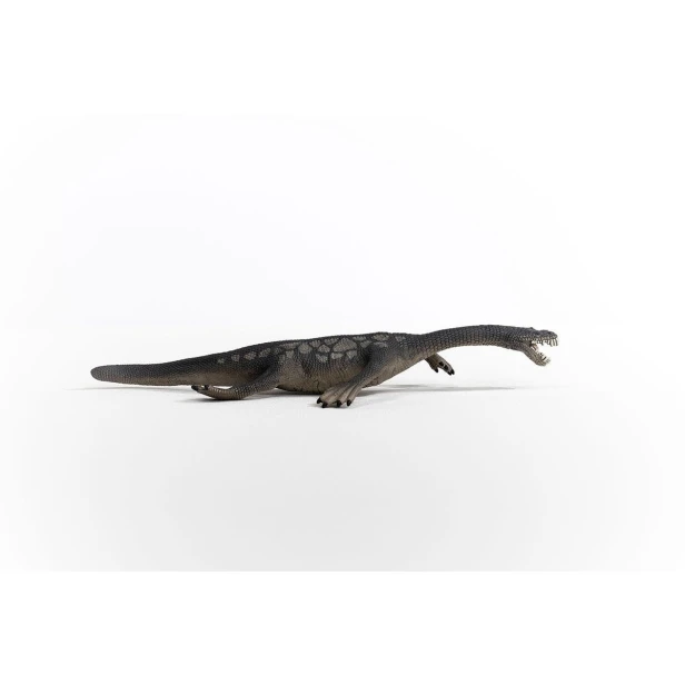 15031_nothosaurus_03.jpg