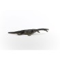 15031_nothosaurus_03.jpg