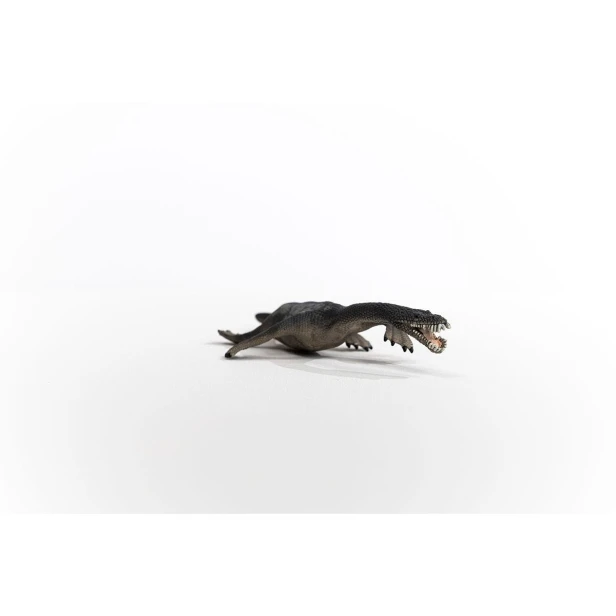 15031_nothosaurus_04.jpg