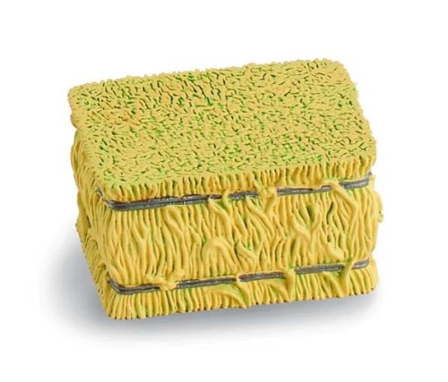 0eb26b86aac0810f7adf20fbbdced1b5