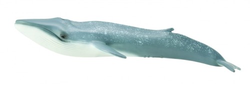 09902f8dc1f592392f709f21d2b8b88d