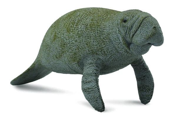 Collecta_88455.jpg