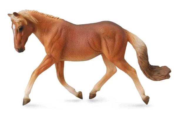 Collecta_88519.jpg