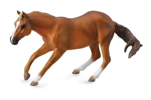 Collecta_88585.jpg