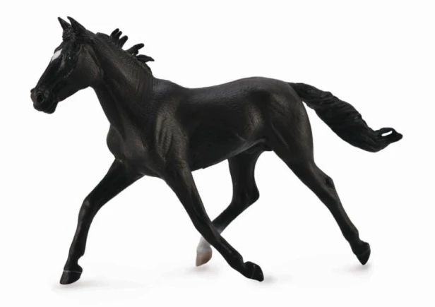 Collecta_88645.jpg