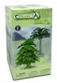 Collecta_89329.jpg