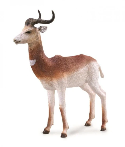 Collecta_88865.jpg