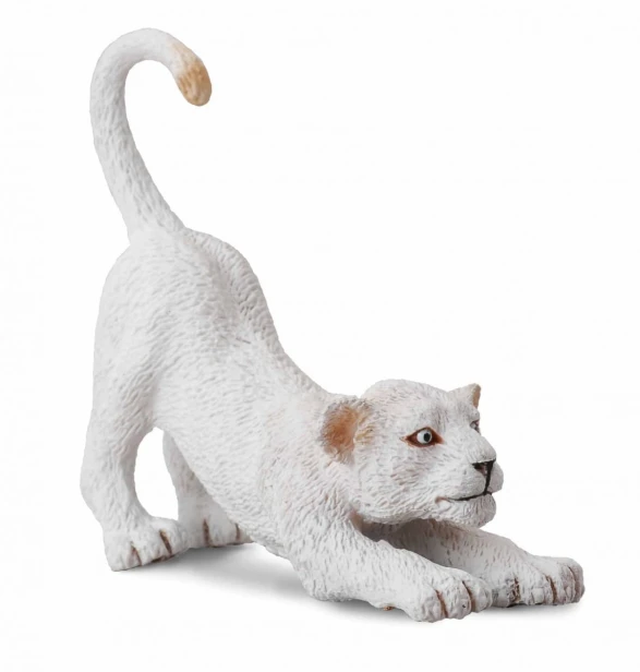 Collecta_88550.jpg