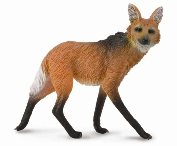Collecta_88595.jpg