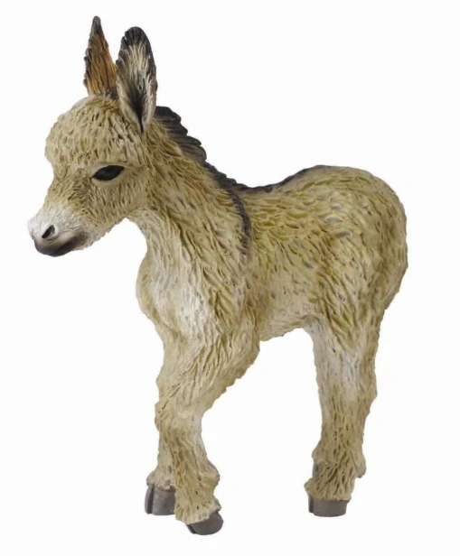 Collecta_88409.jpg