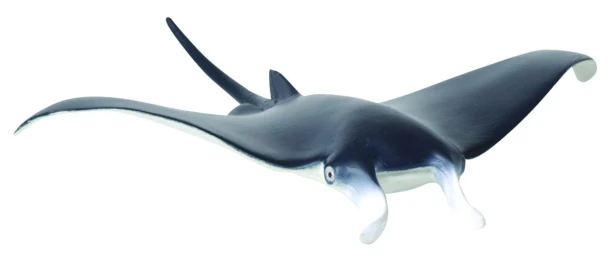 Collecta_88040.jpg