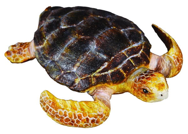 Collecta_88094.jpg