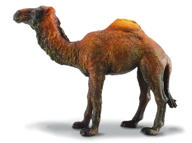 Collecta_88208.jpg