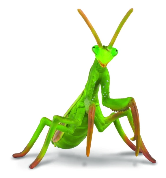 Collecta_88351.jpg