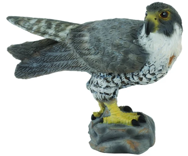 Collecta_88399.jpg