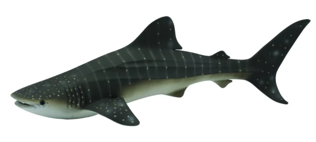 Collecta_88453.jpg