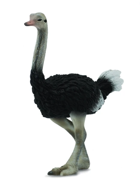 Collecta_88459.jpg