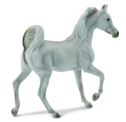 Collecta_88476.jpg