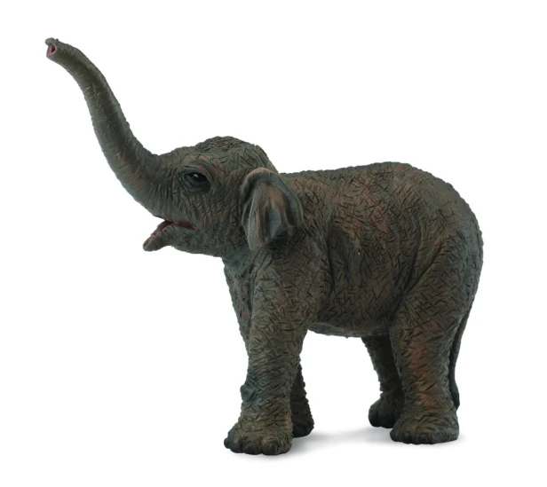 Collecta_88487.jpg