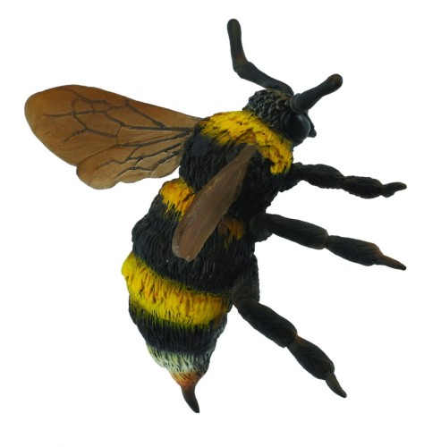 Collecta_88499_1.jpg