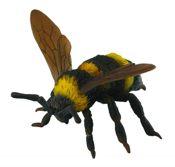 Collecta_88499.jpg