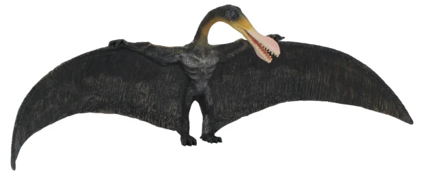 Collecta_88511.jpg