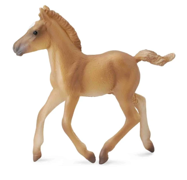 Collecta_88517.jpg