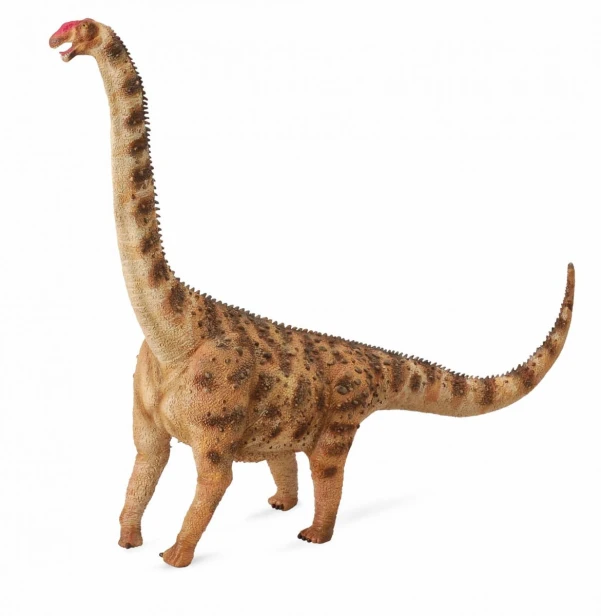 Collecta_88547.jpg