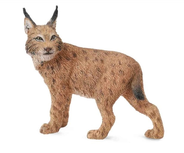 Collecta_88565.jpg