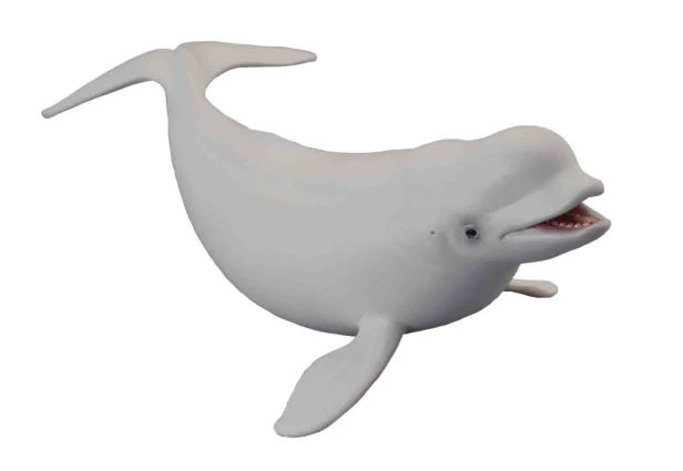Collecta_88568.jpg