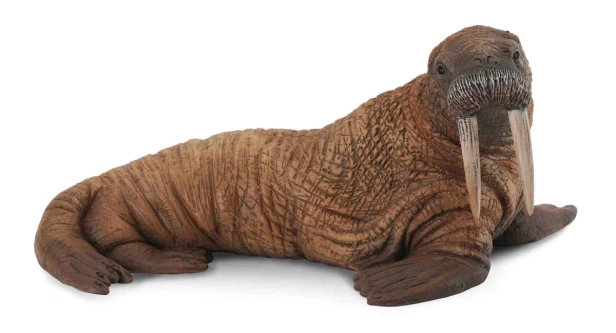 Collecta_88569.jpg
