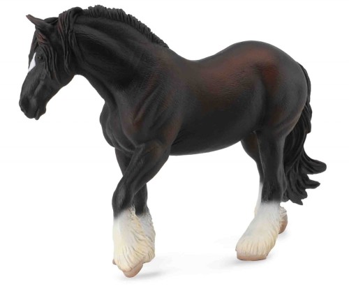 Collecta_88582.jpg