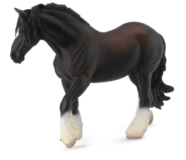 Collecta_88582.jpg