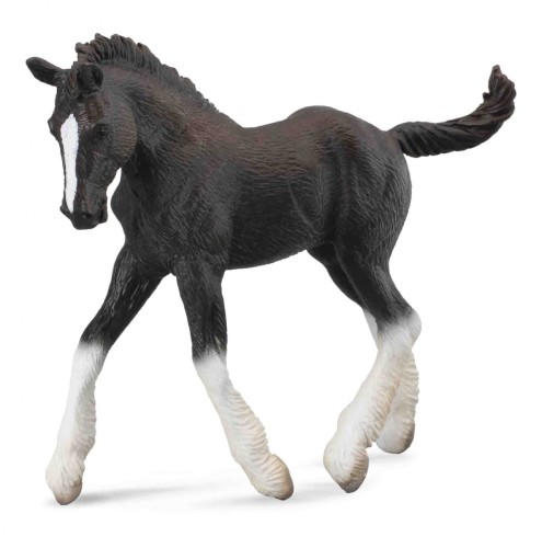 Collecta_88583.jpg