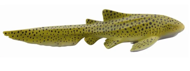 Collecta_88614.jpg